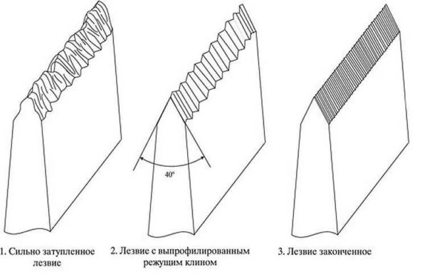 Si nous regardons la lame à un grossissement multiple, nous verrons approximativement l'image suivante
