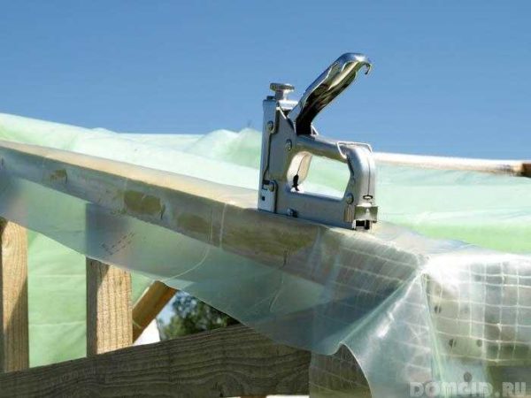 Lors du choix d'une agrafeuse de construction manuelle, vous devez faire attention au corps, à la hauteur de la poignée