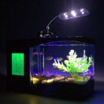 Utilisez des lampes à pince à linge qui peuvent être fixées sur les côtés de l'aquarium