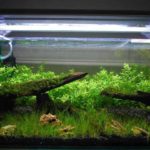 Utilisez une lampe spéciale sur les butées (ou fabriquez-les vous-même)
