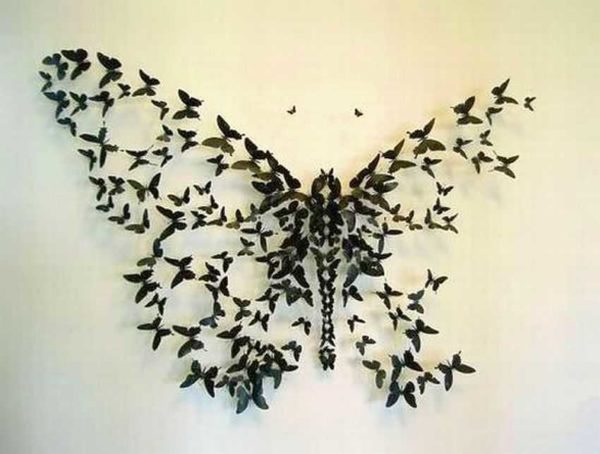 Grand papillon du petit ,,,