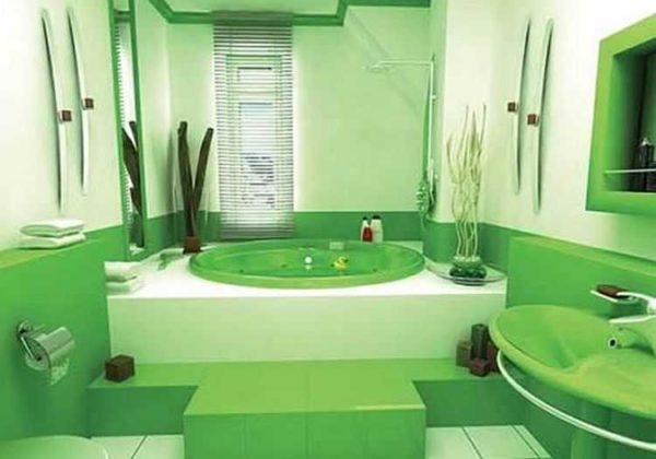 Vert gai dans deux tons dans la salle de bain