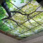 Impression photo sur verre. Et cela aussi - plafonds suspendus Armstrong