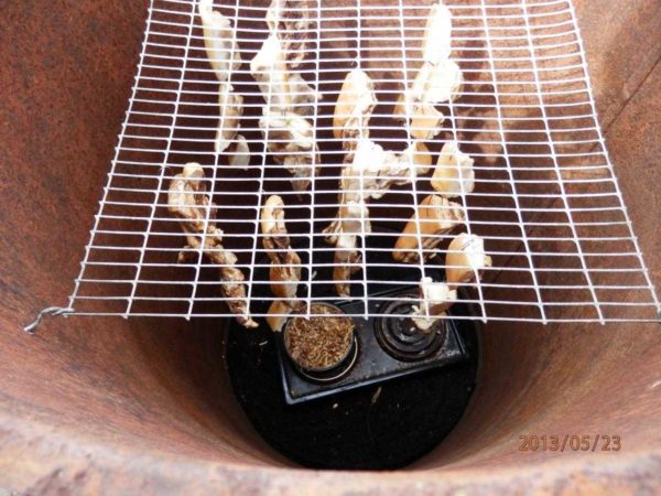 Percez des trous dans la partie supérieure du canon, insérez-y des tiges de grille avec des produits suspendus