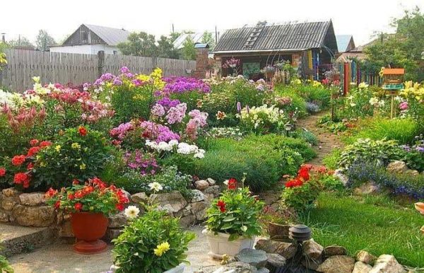 L'été est le moment où le pays regorge de fleurs