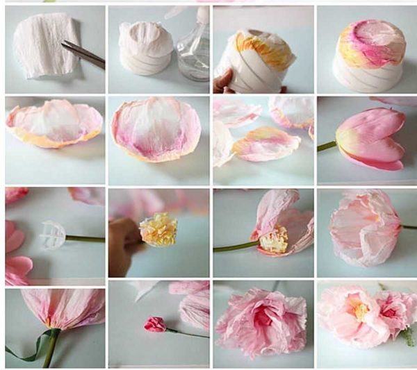 Pour les avancés. Très belle fleur s'avère