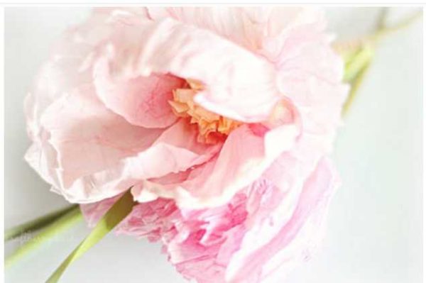 Le processus de fabrication de cette fleur sur la photo ci-dessus