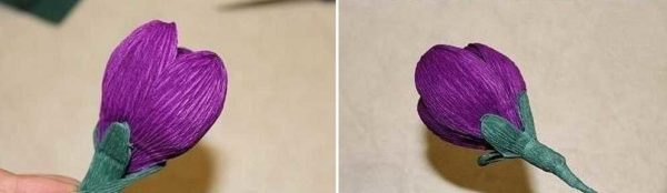 Étape 5: finaliser le crocus