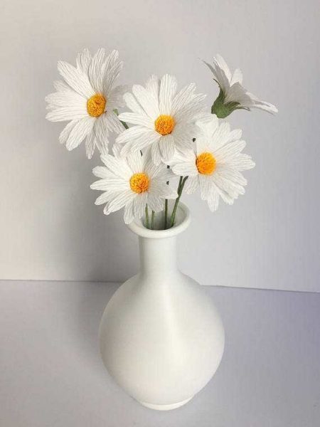 Marguerites mignonnes - une option pour les débutants