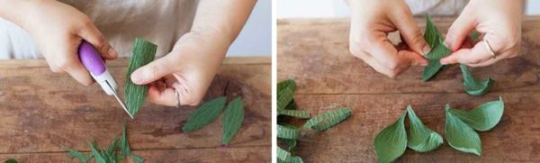 Faire les feuilles qui poussent à partir du bas du calice des fleurs
