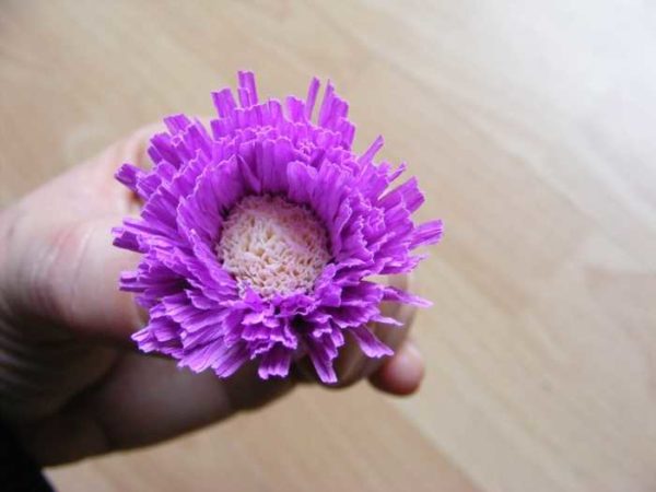 Aster en papier ondulé à grand noyau