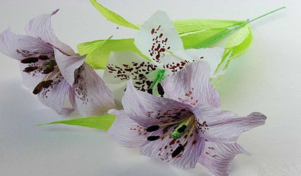 Lys ... beau, mais plusieurs techniques sont appliquées
