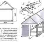 Aménagement général de la serre avec une maison