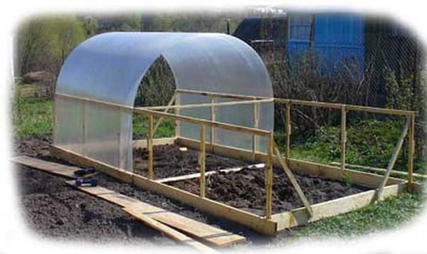Une telle serre en polycarbonate de vos propres mains est la plus facile à faire. Mais c'est une option saisonnière