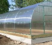 Pour un fonctionnement normal, il est préférable de mettre une serre en polycarbonate sur une fondation