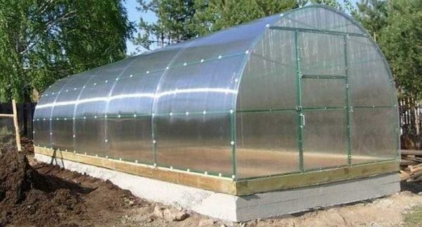 Pour un fonctionnement normal, il est préférable de mettre une serre en polycarbonate sur une fondation