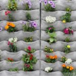 Telle est l'option pour planter des fleurs de bordure
