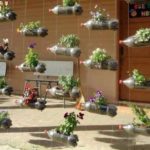 Mur de fleurs - accrochez-vous au cadre et attendez qu'il y ait plus de verdure
