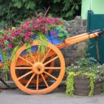 Utiliser un vieux chariot de plantation n'est pas trop récent, mais il a toujours l'air frais