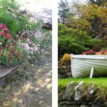 Y a-t-il un vieux bateau? Faites-en un jardin ...