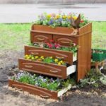Nulle part où mettre la commode? Versez la terre dans des boîtes et plantez des fleurs