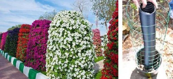 Tout un jardin de colonnes fleuries