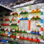Les tuyaux en plastique peuvent être utilisés comme piège pour les pots - percez des trous dedans pour un pot