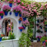 Les pots de la même couleur, mais de formes et de tailles différentes ont également fière allure