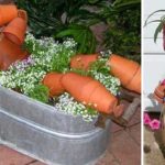 Les pots de fleurs font de superbes décorations de jardin