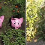 Porcs et lièvres - un thème éternel pour le jardin