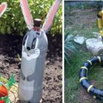 Le serpent des bouteilles en PET est quelque chose de nouveau