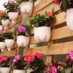 Les bouteilles de deux litres peuvent être coupées en pots de fleurs soignés