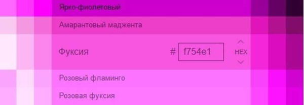 Voici à quoi ressemble le fuchsia