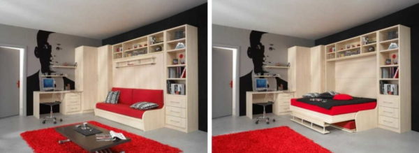 Une des options pour équiper le salon-chambre dans une seule pièce