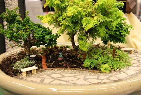 Mini jardin ouvert dans un appartement ou une maison