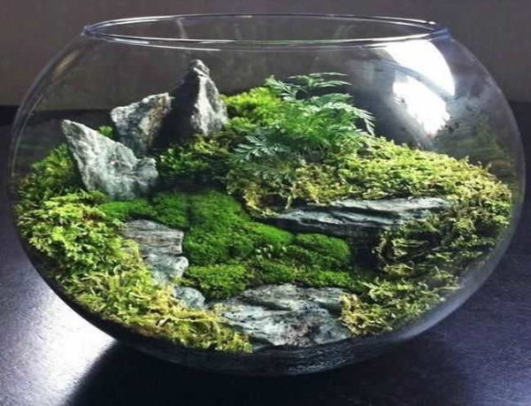 Les jardins de table semi-couverts sont incroyables