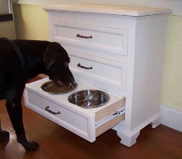 Où mettre les gamelles pour chiens