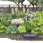 Plan de placement des plantes pour un jardin avant avec une clôture vierge