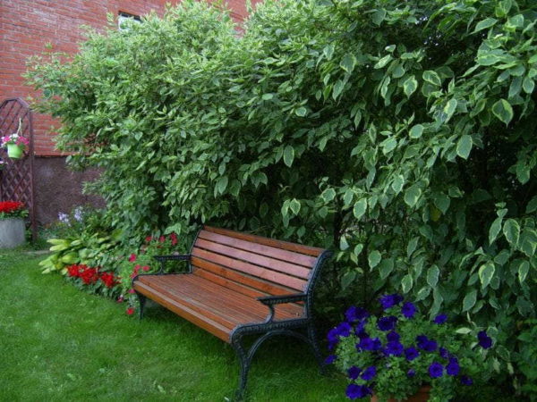 Placez les bancs dans des coins confortables