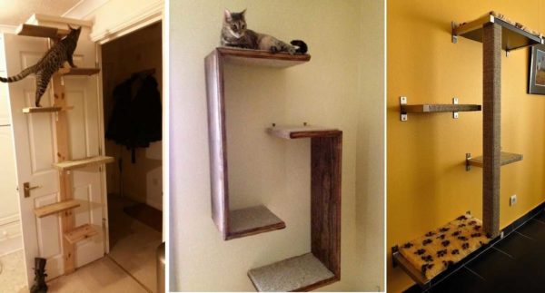 Étagères pour chats - le nom n'est clairement pas accidentel ...