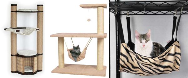 Chats grimpants avec hamacs