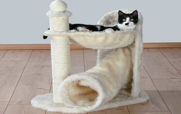 La combinaison d'un hamac et d'un tuyau est l'une des options légères pour un coin de chat