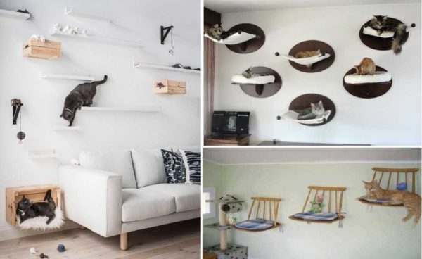 Baskets murales pour chats