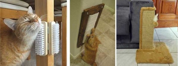 Les brosses sont une chose très pratique à gratter et à brosser lorsque le propriétaire n'est pas là. Les poteaux à griffer aident à protéger les meubles des griffes de chat - c'est moins cher que d'acheter un canapé anti-vandale