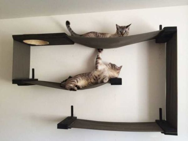 Combinaison d'étagères pour chats et hamacs ... presque une œuvre d'art