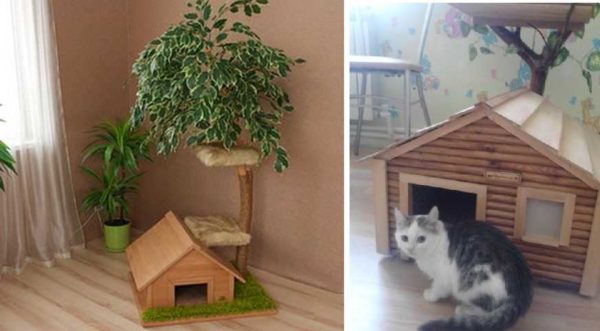 Pour un chat avec des chatons, une maison posée sur le sol convient