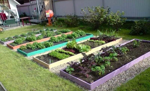 Les lits intelligents ajoutent des nutriments lors de la pose
