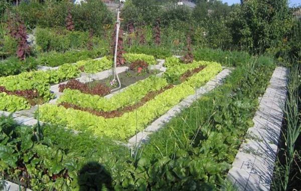 Un jardin intelligent est aussi une décoration du site