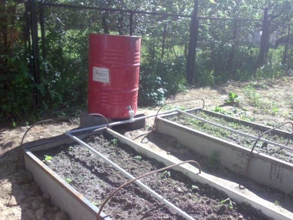 Système d'irrigation goutte à goutte fait maison fait de tuyaux en polymère, source d'eau - baril
