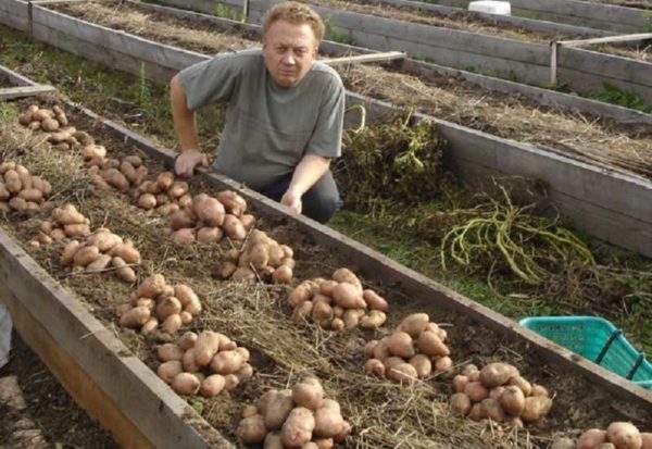 Le rendement au mètre carré sera oh-so ...